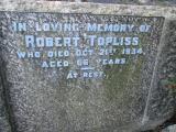 image of grave number 373022